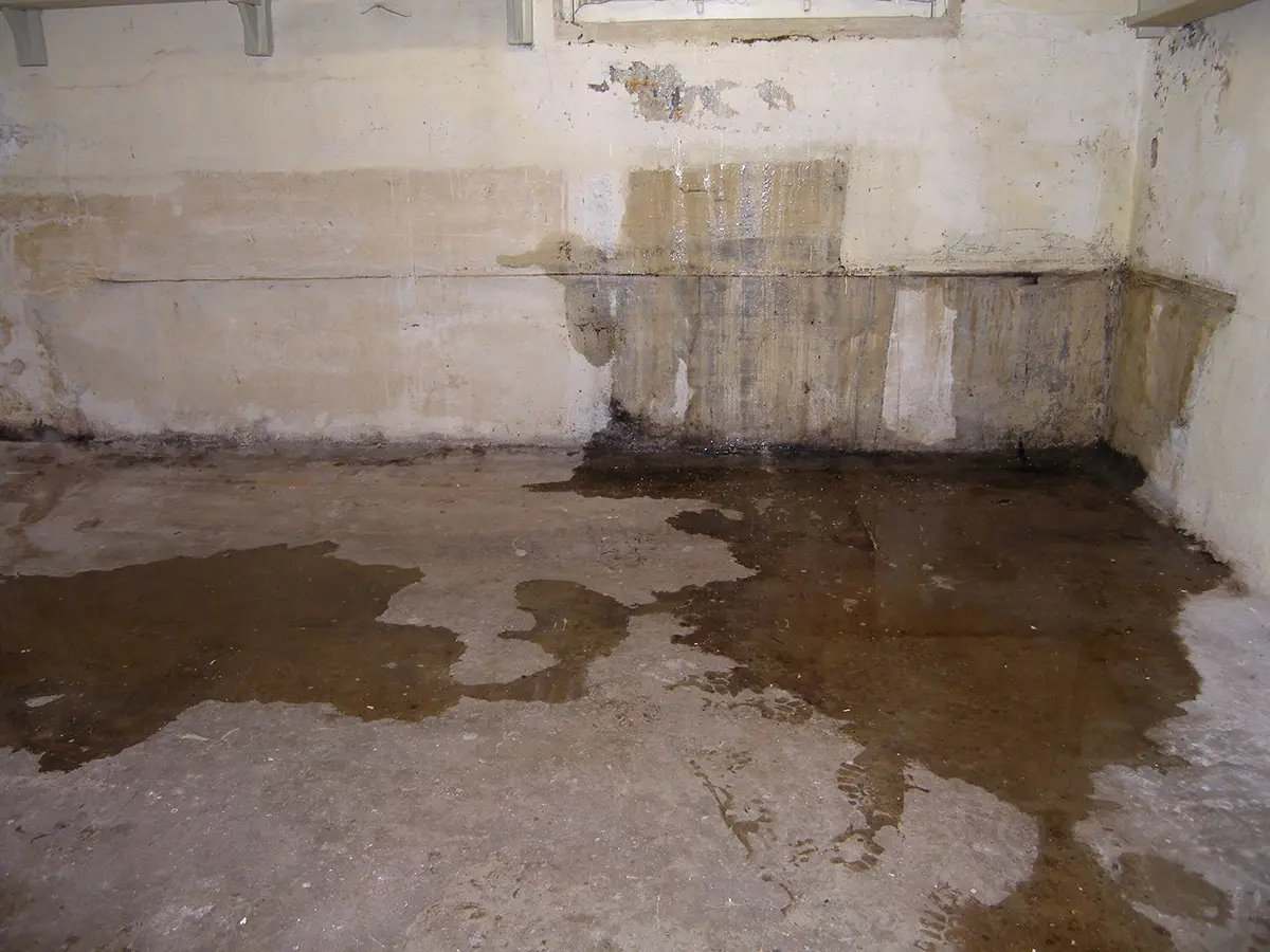 Common Signs You Have a Problem With Crawl Space Moisture